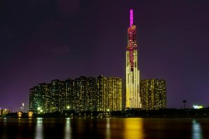 Chiến kê trước trận với dáng đứng vững và thần thái tỉnh táo