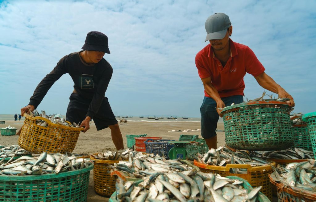 Người dùng mở giao diện bắn cá trên điện thoại để vào phòng chơi
